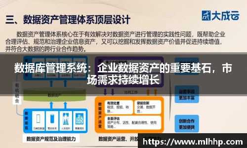 数据库管理系统：企业数据资产的重要基石，市场需求持续增长