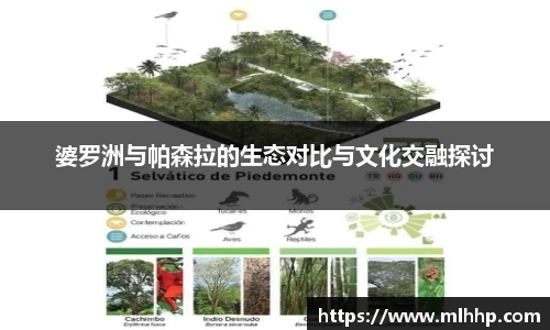 婆罗洲与帕森拉的生态对比与文化交融探讨
